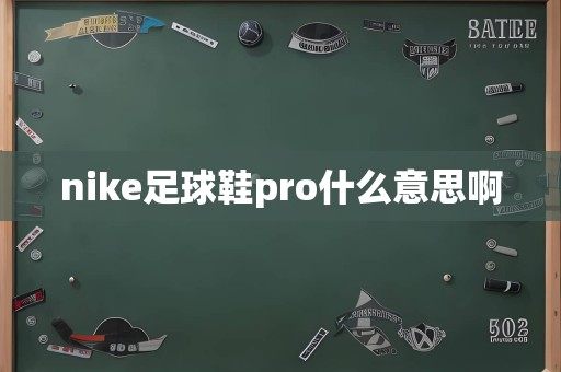 nike足球鞋pro什么意思啊