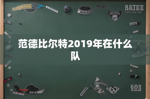 范德比尔特2019年在什么队