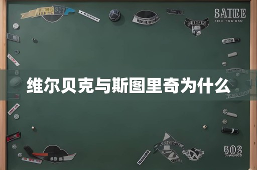 维尔贝克与斯图里奇为什么