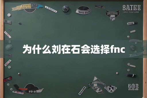 为什么刘在石会选择fnc