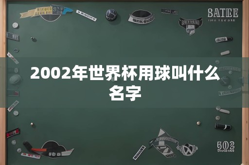 2002年世界杯用球叫什么名字