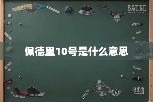 佩德里10号是什么意思