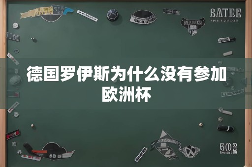 德国罗伊斯为什么没有参加欧洲杯