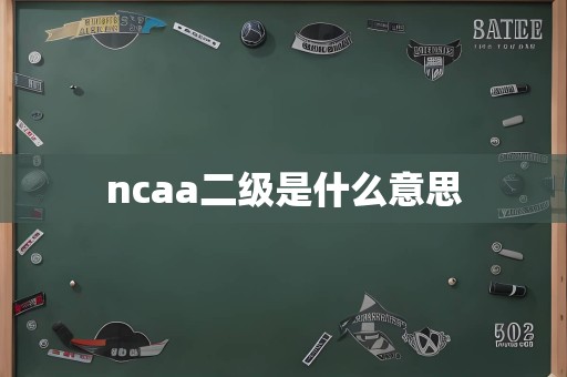 ncaa二级是什么意思