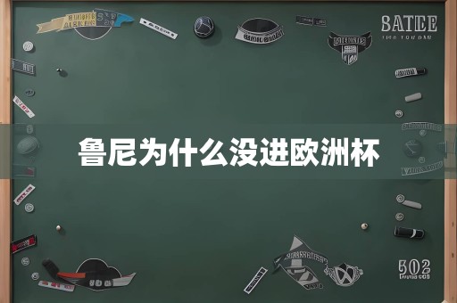 鲁尼为什么没进欧洲杯