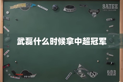 武磊什么时候拿中超冠军