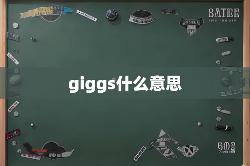 giggs什么意思