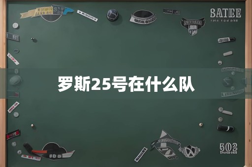 罗斯25号在什么队