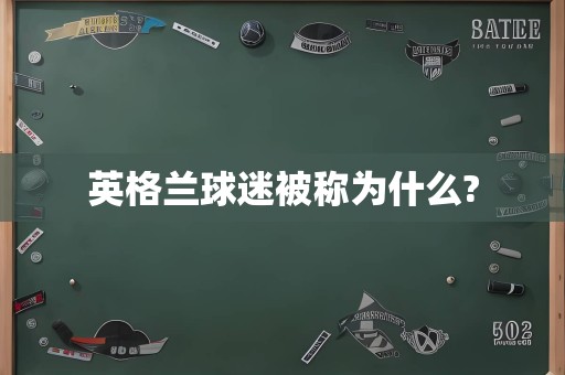 英格兰球迷被称为什么?