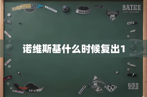 诺维斯基什么时候复出1