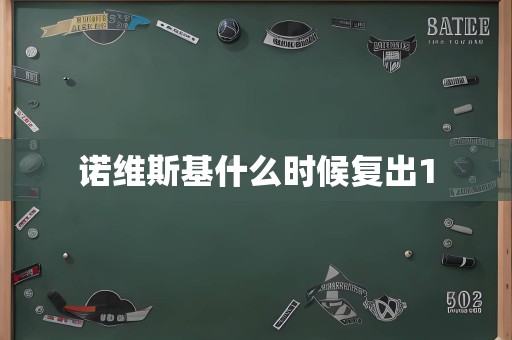 诺维斯基什么时候复出1