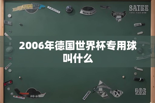 2006年德国世界杯专用球叫什么