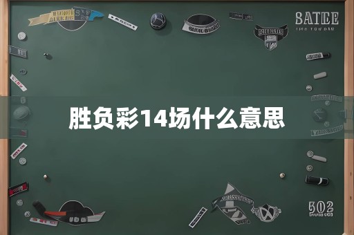 胜负彩14场什么意思