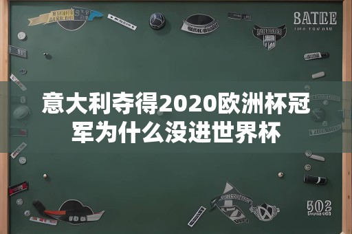 意大利夺得2020欧洲杯冠军为什么没进世界杯