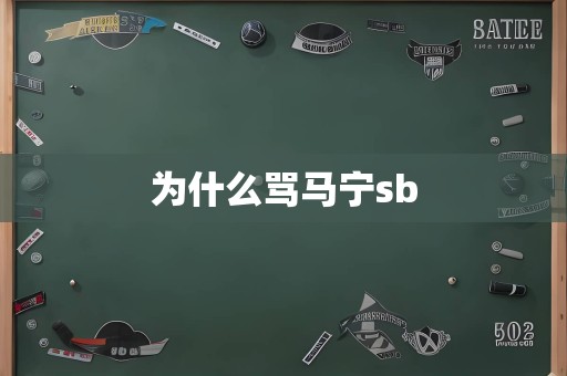 为什么骂马宁sb