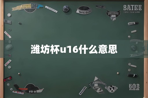 潍坊杯u16什么意思