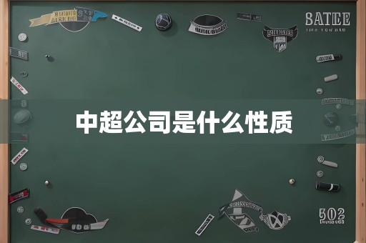 中超公司是什么性质