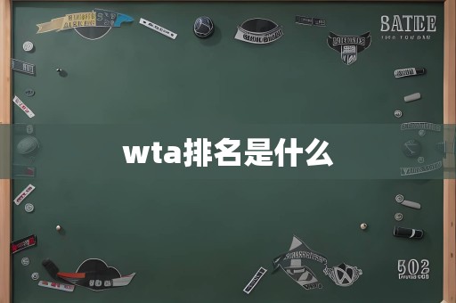 wta排名是什么