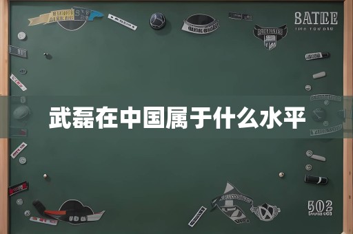 武磊在中国属于什么水平