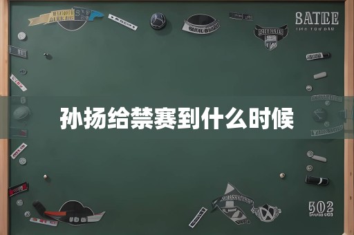 孙扬给禁赛到什么时候