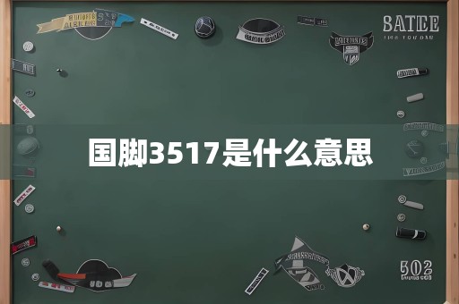 国脚3517是什么意思