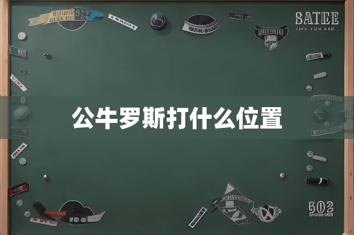 公牛罗斯打什么位置