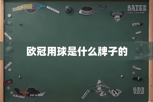 欧冠用球是什么牌子的