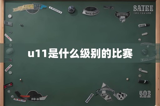 u11是什么级别的比赛