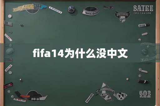 fifa14为什么没中文