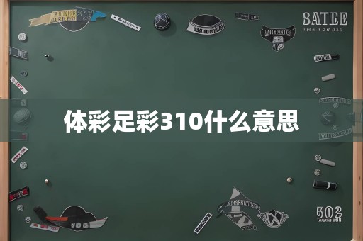 体彩足彩310什么意思