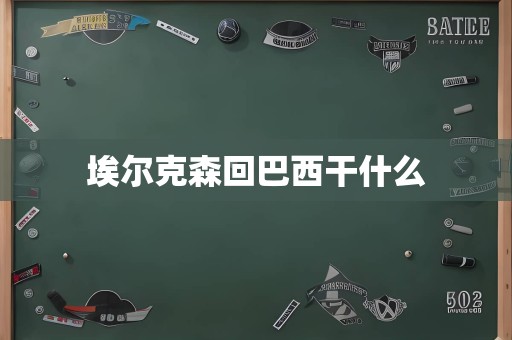 埃尔克森回巴西干什么