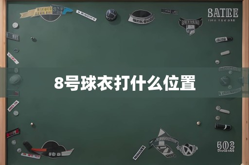 8号球衣打什么位置