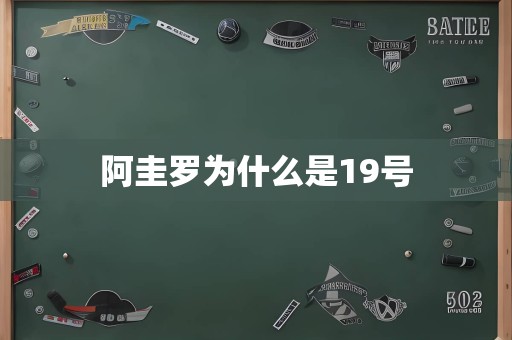 阿圭罗为什么是19号