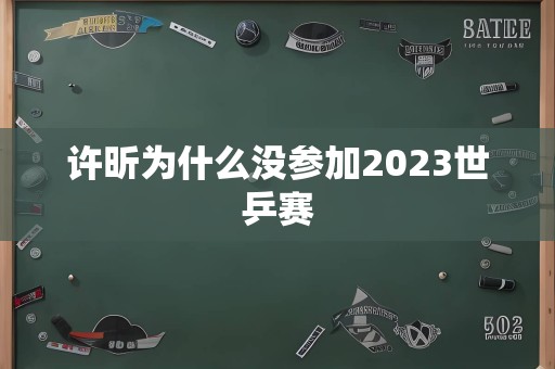 许昕为什么没参加2023世乒赛