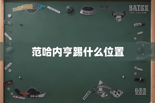 范哈内亨踢什么位置