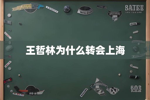 王哲林为什么转会上海
