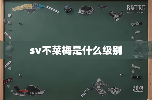 sv不莱梅是什么级别