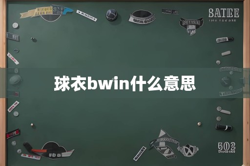 球衣bwin什么意思