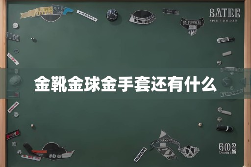 金靴金球金手套还有什么