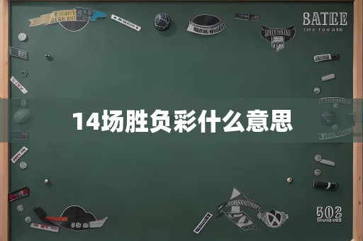 14场胜负彩什么意思