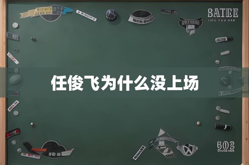 任俊飞为什么没上场