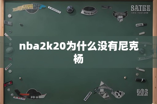 nba2k20为什么没有尼克杨