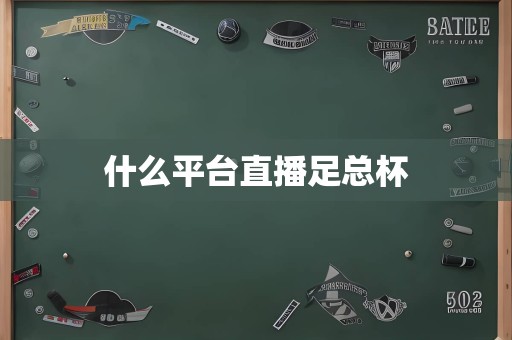 什么平台直播足总杯