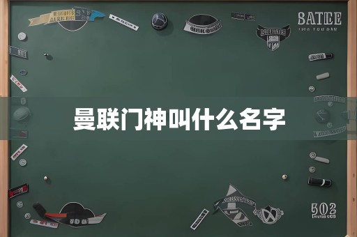 曼联门神叫什么名字