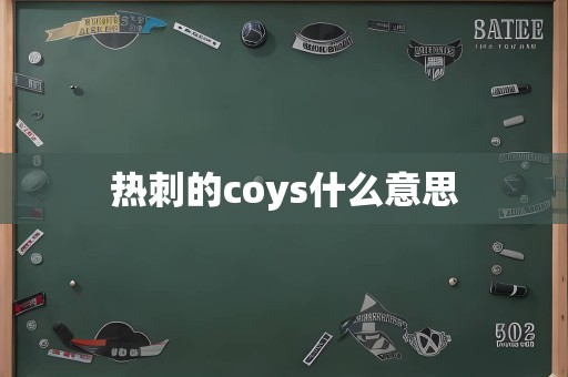 热刺的coys什么意思