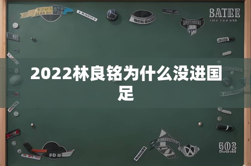 2022林良铭为什么没进国足