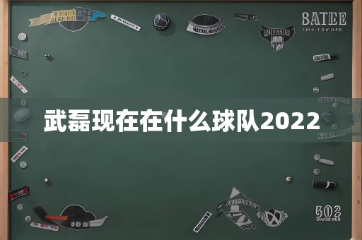 武磊现在在什么球队2022