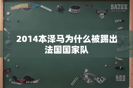 2014本泽马为什么被踢出法国国家队