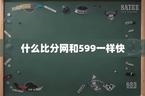 什么比分网和599一样快