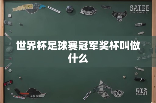 世界杯足球赛冠军奖杯叫做什么